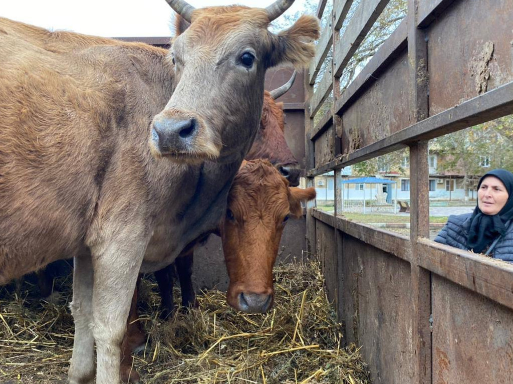 Проверка целевого использования финансовых средств по месту осуществления предпринимательской деятельности, в рамках государственной социальной помощи на основании социального контракта за 2023г